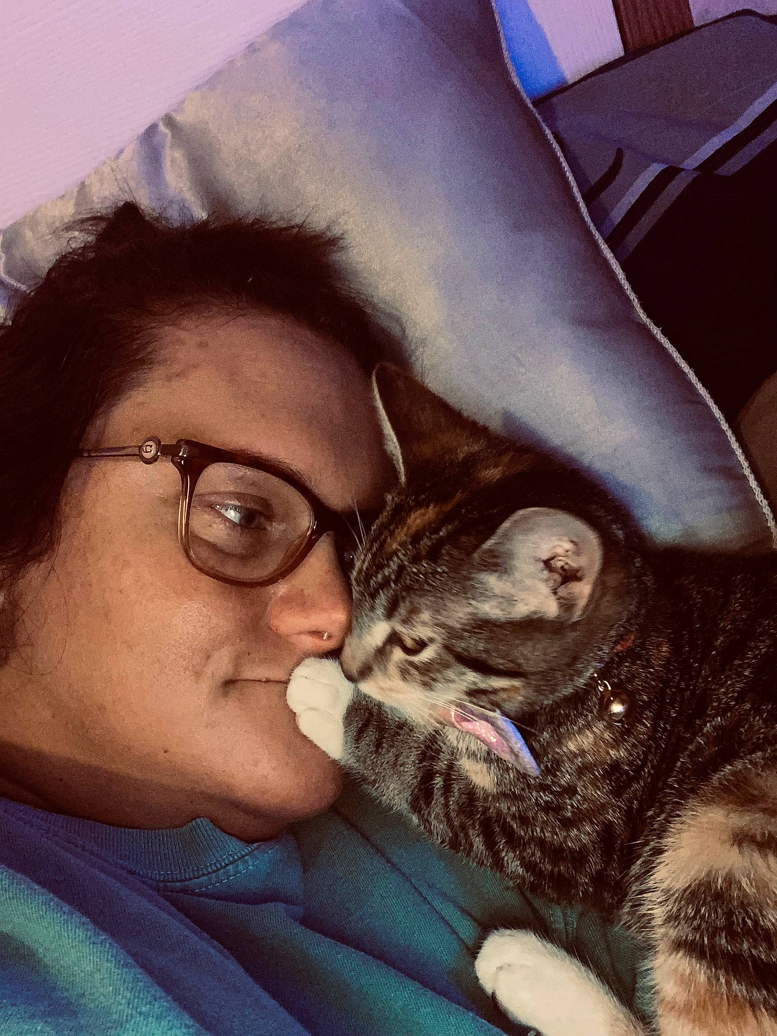 Houdini is registered to the contest to win money with this photo: beard, carnivore, cat, comfort, cool, ear, eyebrow, eyelash, eyewear, fawn, felidae, gesture, glasses, happy, iris, jaw, mammal, mouth, small_to_medium_sized_cats, vision_care