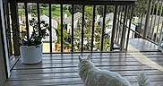 Rameses is registered to the contest to win money with this photo: cat, white_cat, porch, wooden_floor, potted_plant, balcony, railing, mountains, clouds, sky, trees, houses, residential_area, daylight, outdoor, nature, scenic_view, pet, animal, feline
