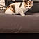 Louna