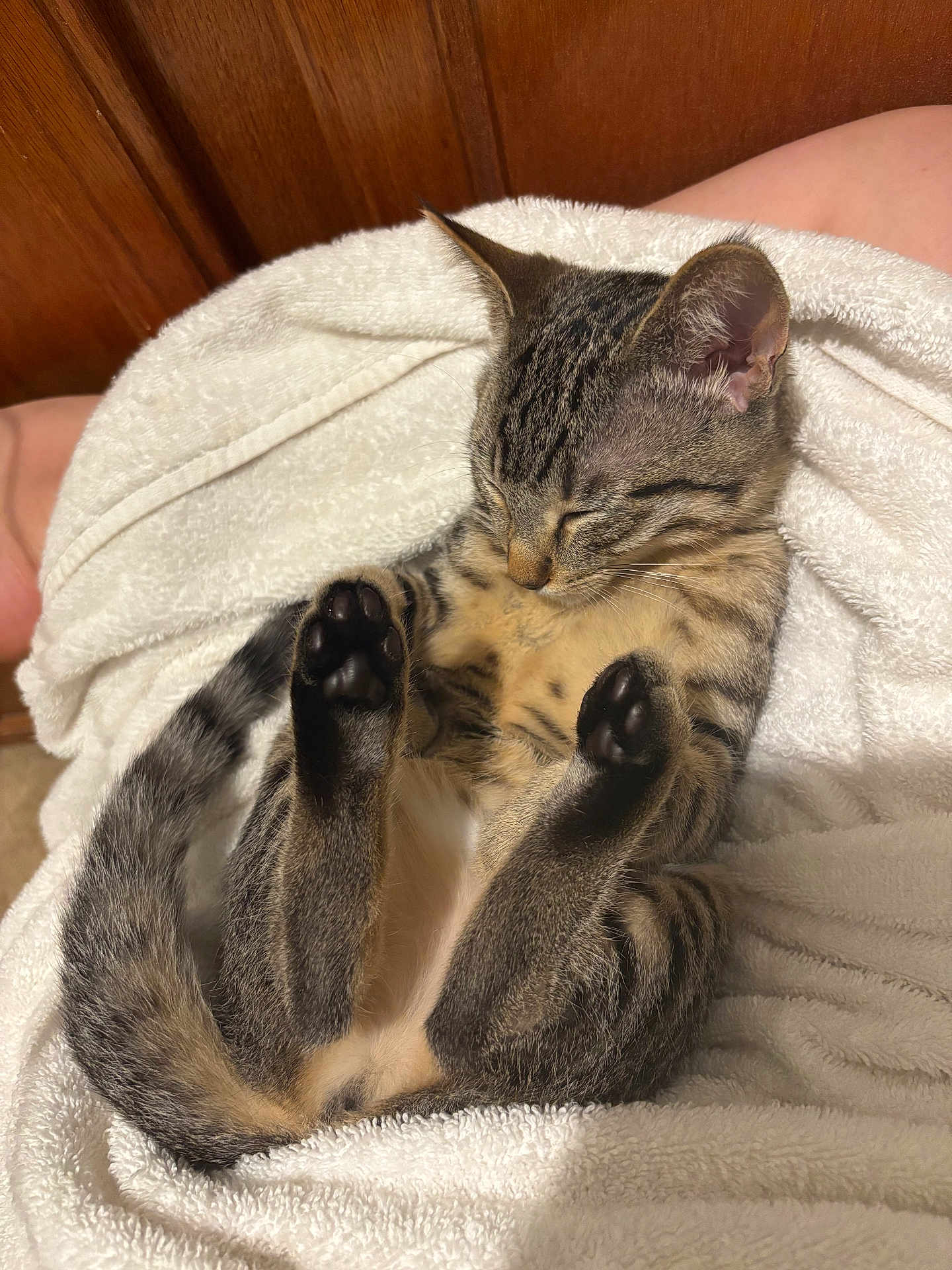 Miso