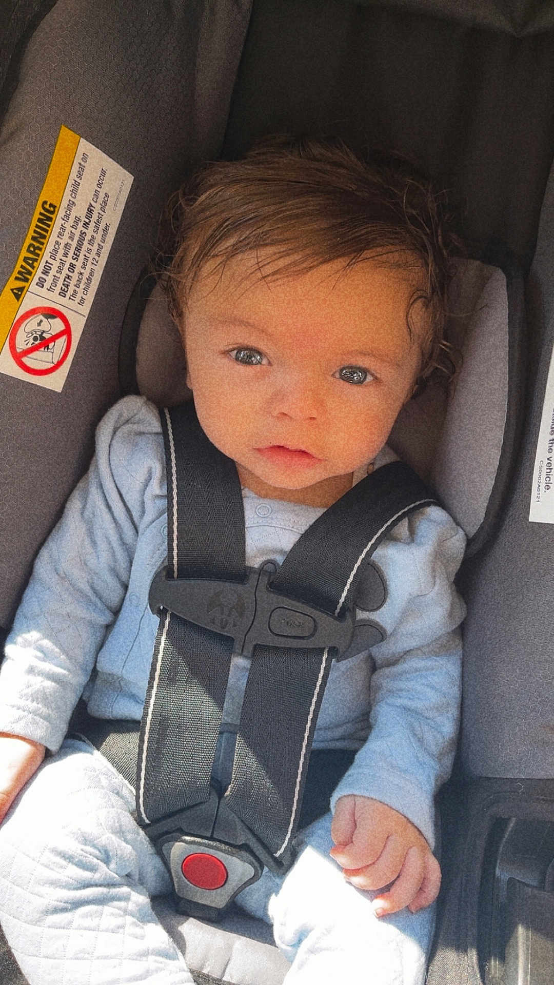 Zylus is registered to the contest to win money with this photo: baby, infant, car_seat, safety_harness, blue_clothing, child, cute, face, hand, seatbelt, car_interior, young_child, portrait, looking_up, curious, indoors, sunlight, small_hands, hair, expression