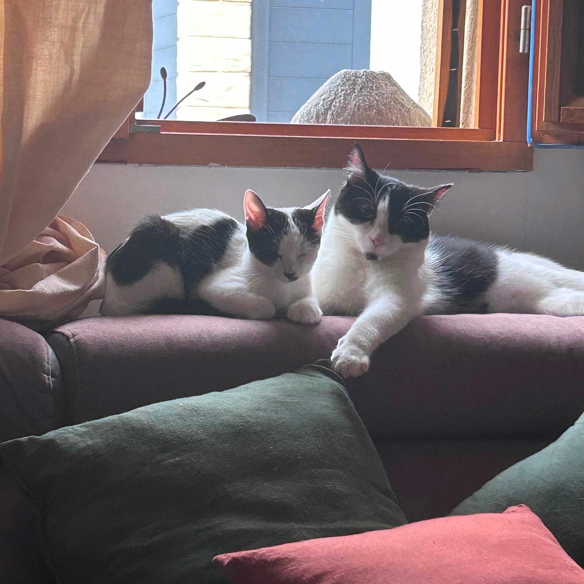 Moon Et Mia