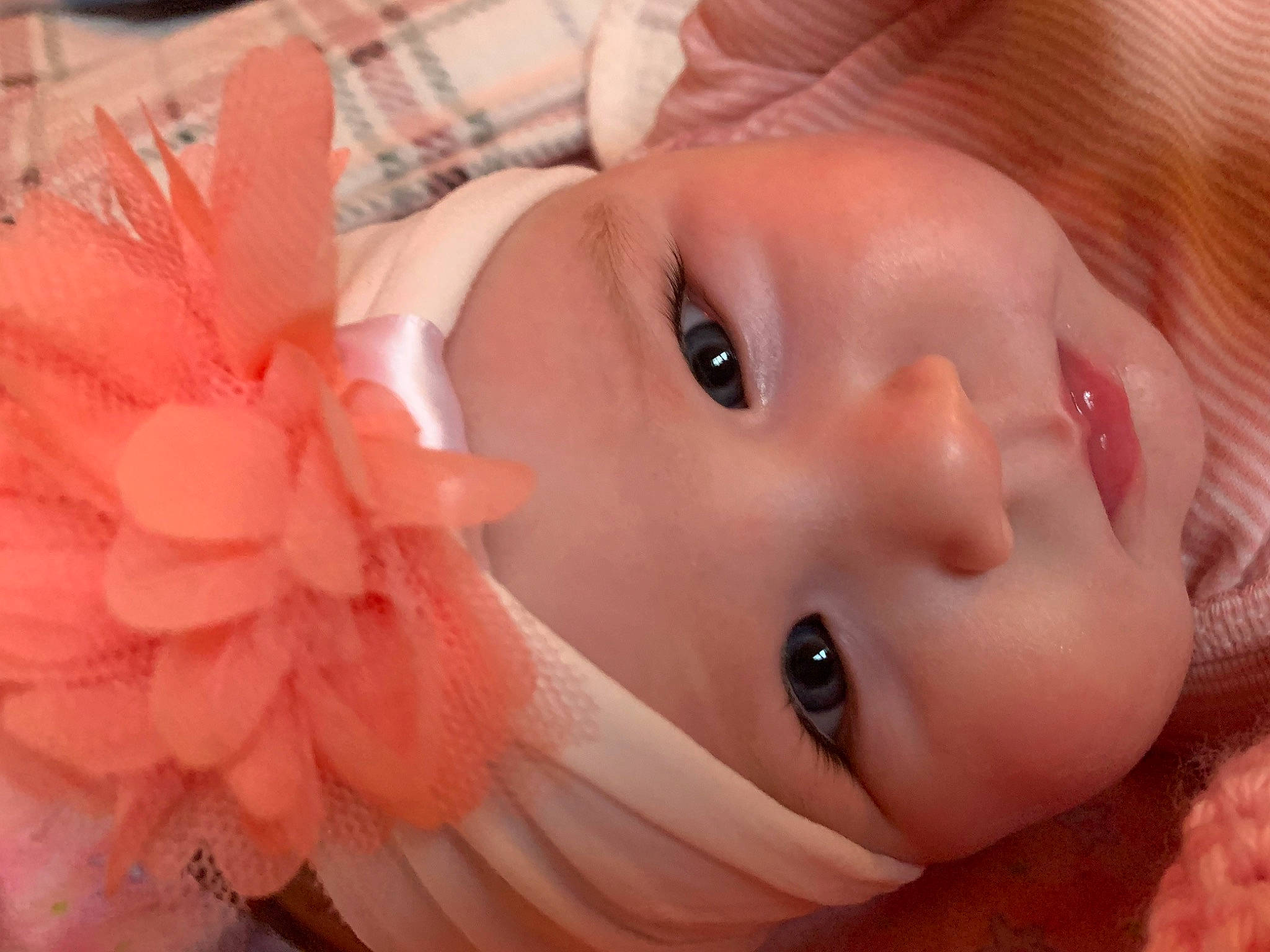 Effie is registered to the contest to win money with this photo: cheek, dress, eye, eyebrow, eyelash, flower, hair, hairstyle, hand, head, headwear, human_body, iris, lip, mouth, muscle, nose, person, petal, plant