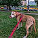 Macy