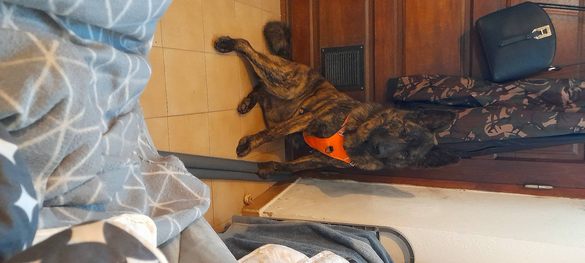 Zeus participe au concours pour gagner de l'argent avec cette photo : art, boot, camouflage, comfort, flooring, hardwood, human_leg, infantry, metal, military_camouflage, military_organization, military_person, military_uniform, outdoor_shoe, pattern, personal_protective_equipment, room, soldier, visual_arts, wood