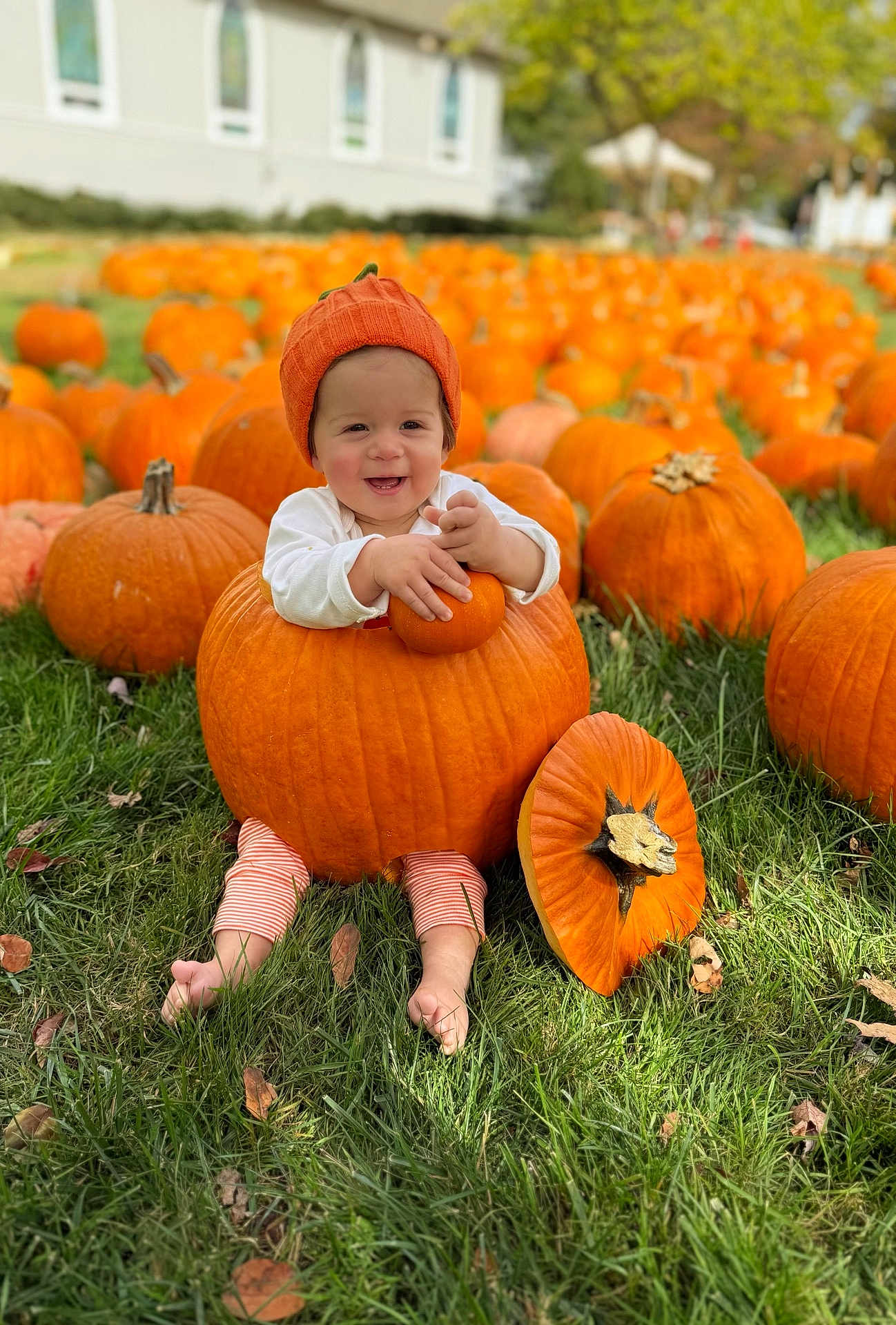Summer Joy is registered to the contest to win money with this photo: baby, infant, toddler, pumpkin, pumpkin_patch, orange, grass, hat, smiling, cute, autumn, fall, outdoors, field, leaves, legs, barefoot, sitting, happy, portrait