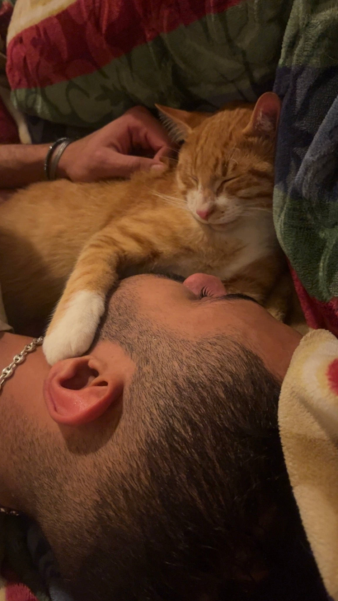 Minouche participe au concours pour gagner de l'argent avec cette photo : arm, beard, carnivore, cat, comfort, ear, eyelash, fawn, felidae, finger, gesture, human_leg, jaw, lap, mammal, mouth, nail, small_to_medium_sized_cats, snout, whiskers