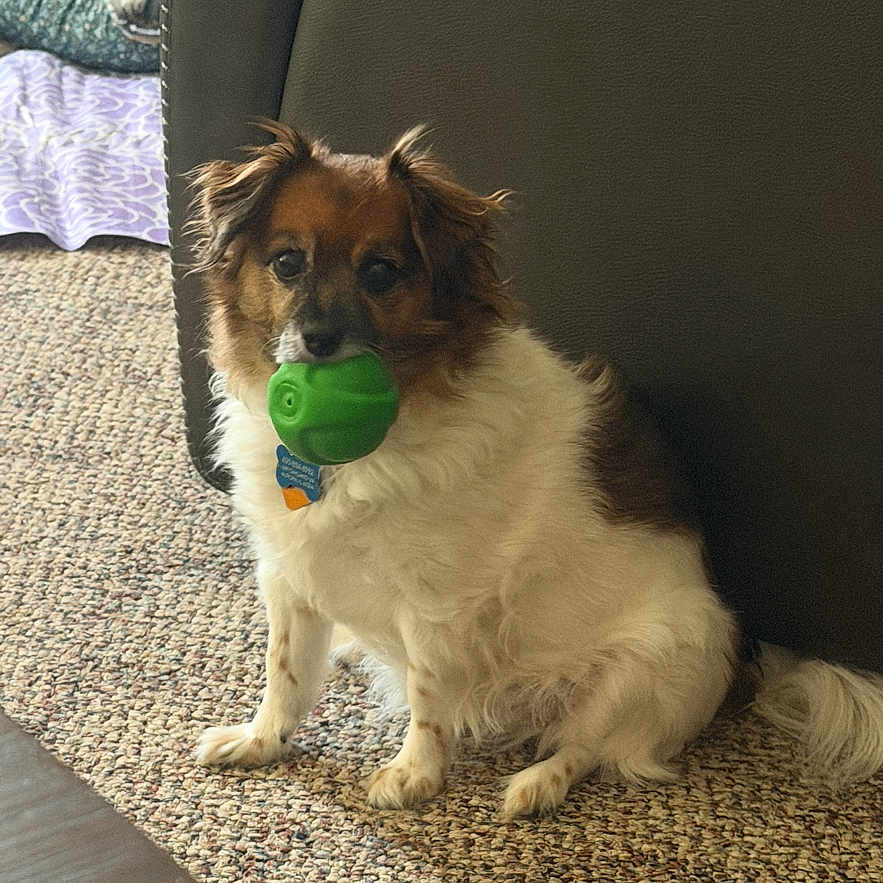 Coco