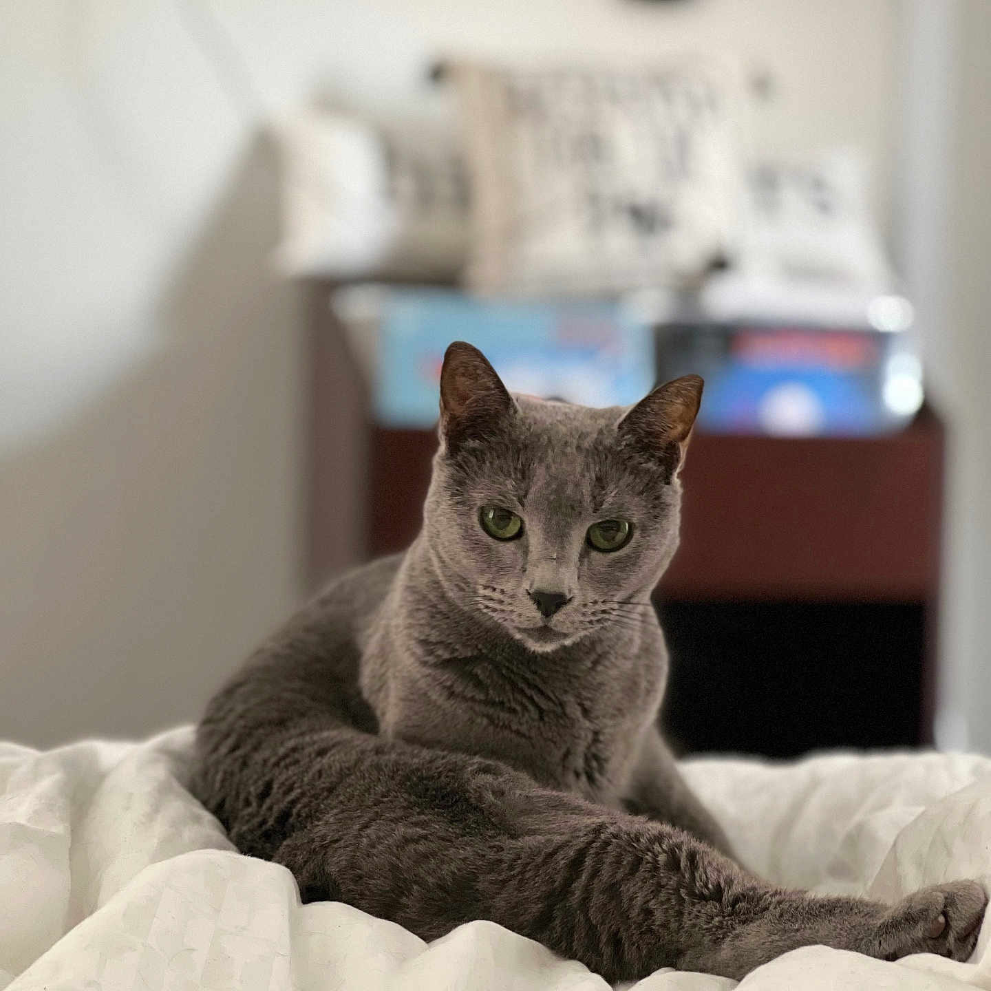 Kisa