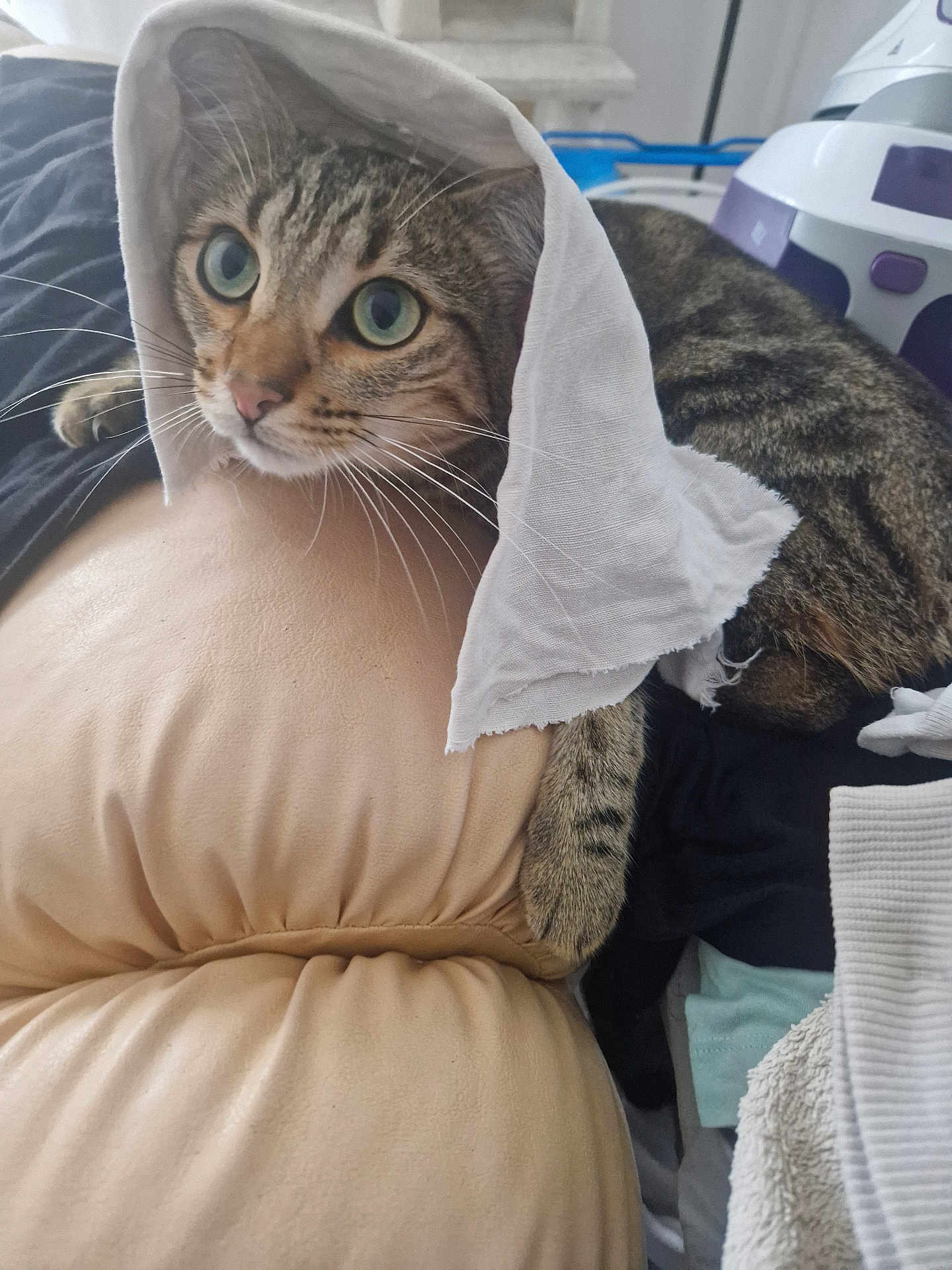 Simba