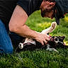 Cash Heppard joined the competition — help win amazing prizes! man, dog, grass, outdoor, playful, cap, pet, black_and_white_dog, happy, animal, casual_clothing, nature, daylight, interaction, kneeling, smile, grass_field, friendship, leash, fun