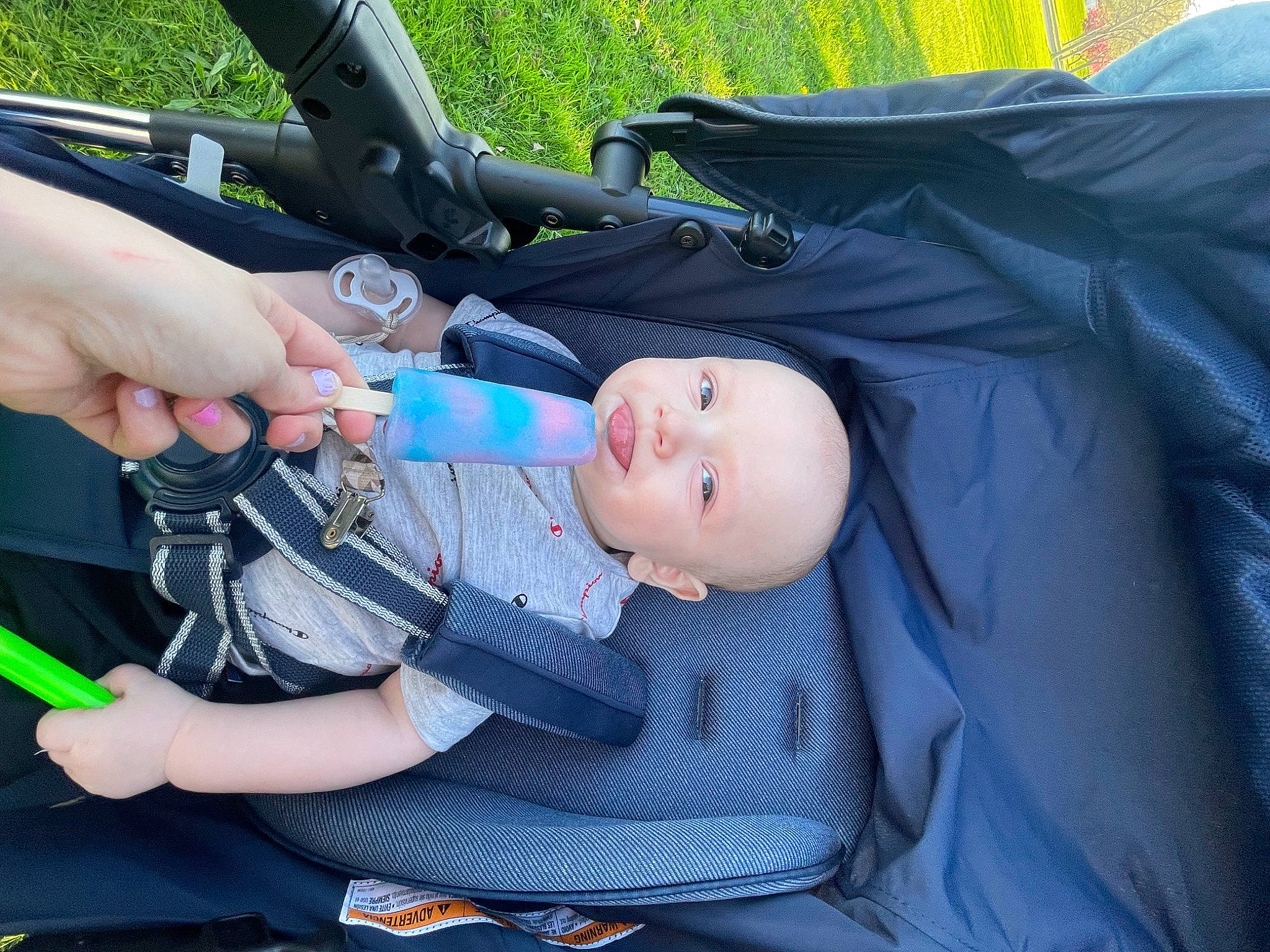 Bentlee is registered to the contest to win money with this photo: arm, auto_part, baby, baby_carriage, baby_products, baby_toddler_clothing, car_seat, child, comfort, electric_blue, fun, gesture, grass, hand, lap, nail, person, personal_protective_equipment, plant, recreation