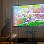cat, television, bird, table, remote_control, indoor, curious, wooden, floor, door, wall, animal, pet, screen, colorful, sitting, watching, living_room, technology, furniture