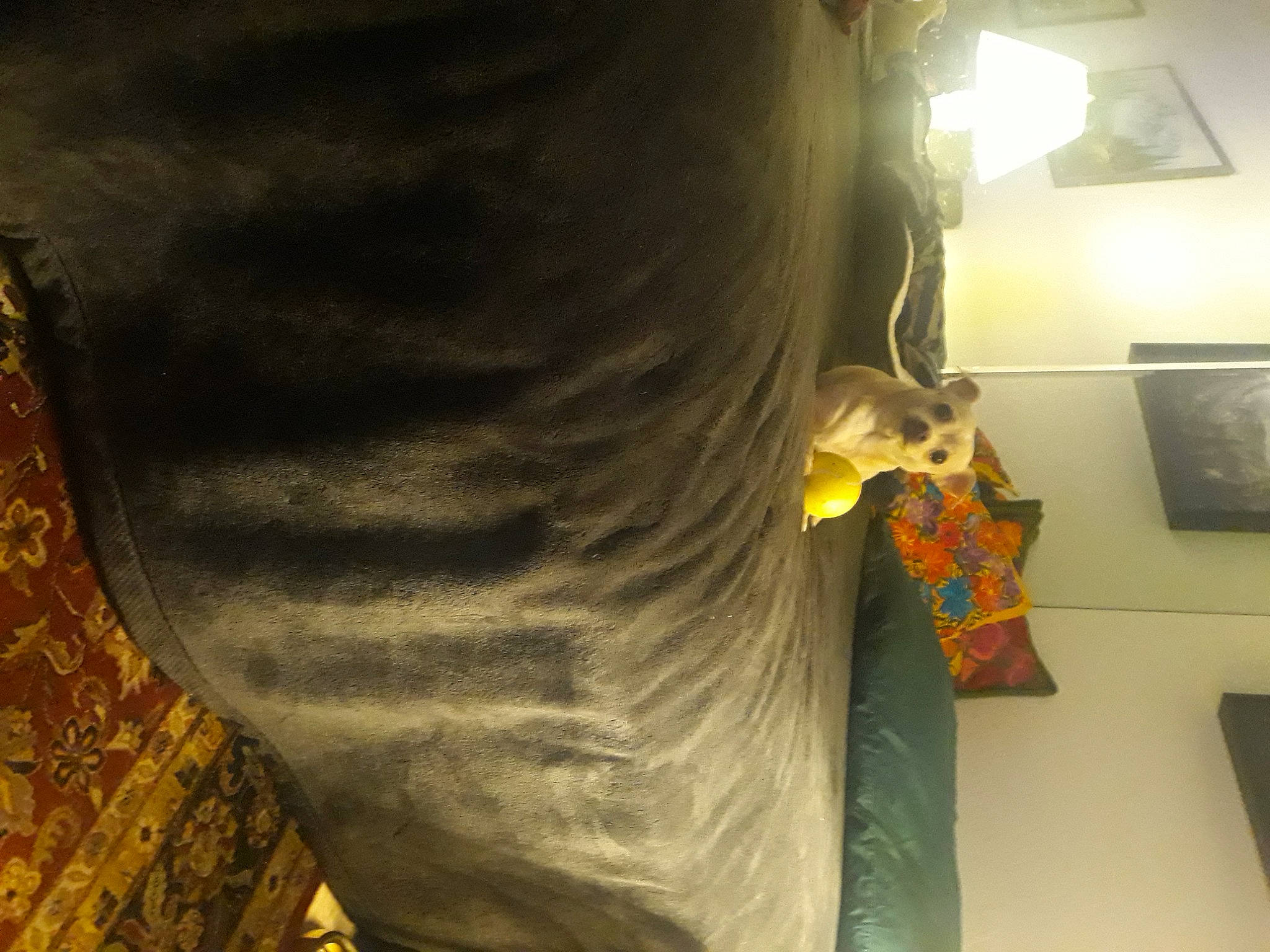 Bennie joined the competition — help win amazing prizes! abdomen, automotive_lighting, chest, denim, fashion_accessory, fashion_design, flooring, human_leg, picture_frame, room, selfie, sleeve, sportswear, t_shirt, thigh, tints_and_shades, trunk, visual_arts, waist, wood