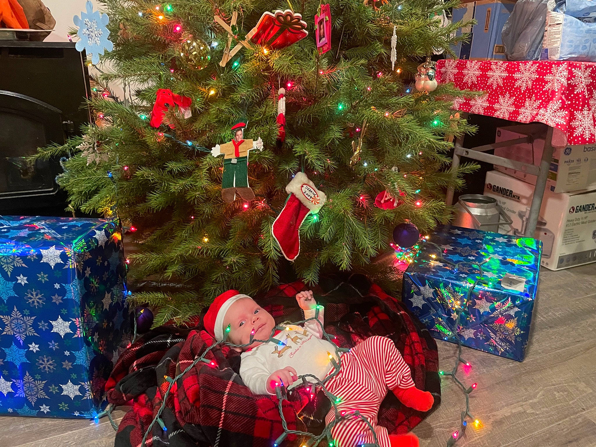 Holden is registered to the contest to win money with this photo: black, christmas, christmas_decoration, christmas_eve, christmas_ornament, christmas_tree, conifer, decoration, event, evergreen, holiday, holiday_ornament, interior_design, ornament, person, red, room, tints_and_shades, tradition, woody_plant