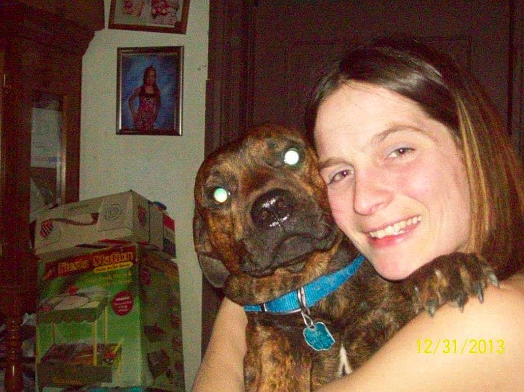 Duke joined the competition — help win amazing prizes! canidae, carnivore, collar, companion_dog, dog, dog_breed, dog_collar, ear, fawn, fur, jaw, liver, pet_supply, picture_frame, selfie, smile, snout, sporting_group, working_animal, wrinkle