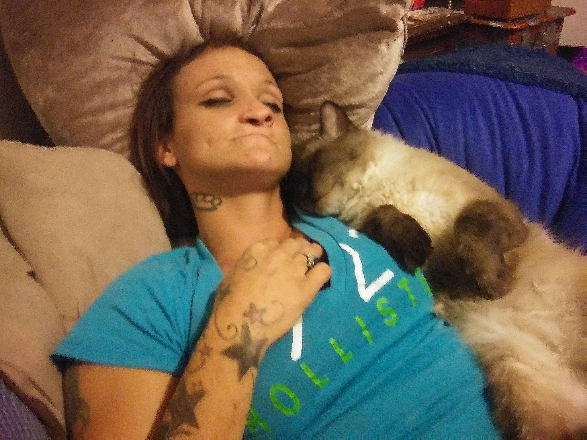 Lucky joined the competition — help win amazing prizes! abdomen, carnivore, chest, comfort, companion_dog, couch, dog, dog_breed, fawn, felidae, fun, fur, linens, room, sitting, small_to_medium_sized_cats, thigh, toy_dog, trunk, vertebrate