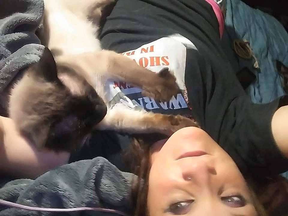 Lucky is registered to the contest to win money with this photo: black_hair, carnivore, child, comfort, companion_dog, crowd, elbow, event, eyelash, felidae, finger, fun, fur, gesture, human, mouth, nail, organ, small_to_medium_sized_cats, wrist