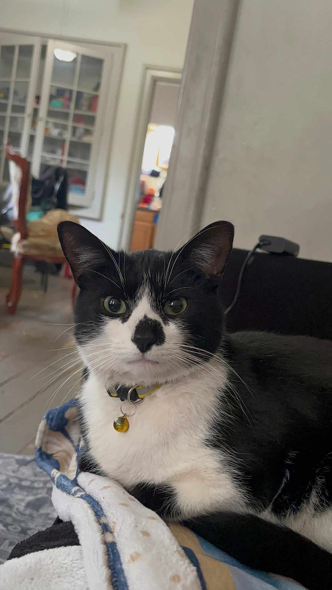 Goober