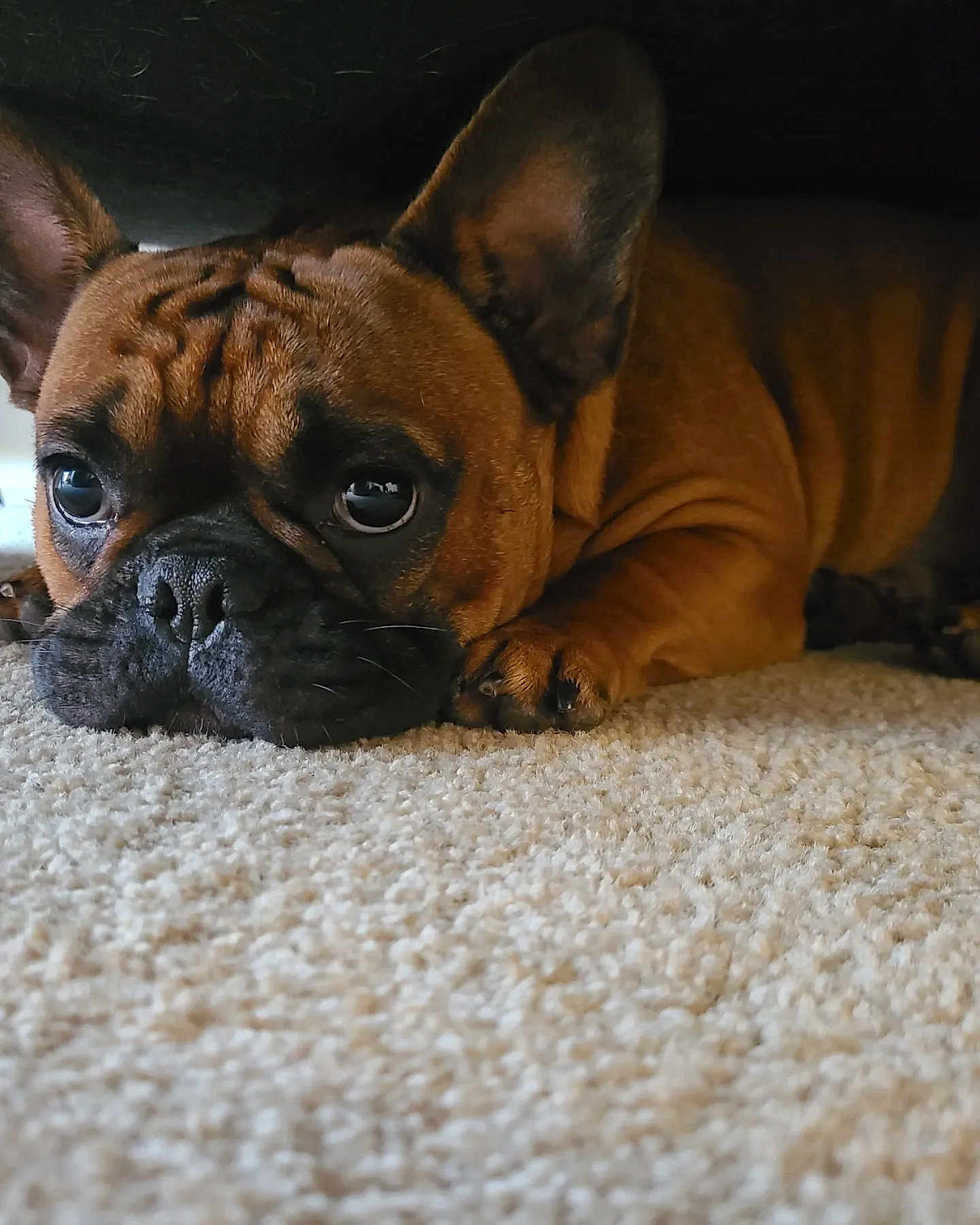 Yoda