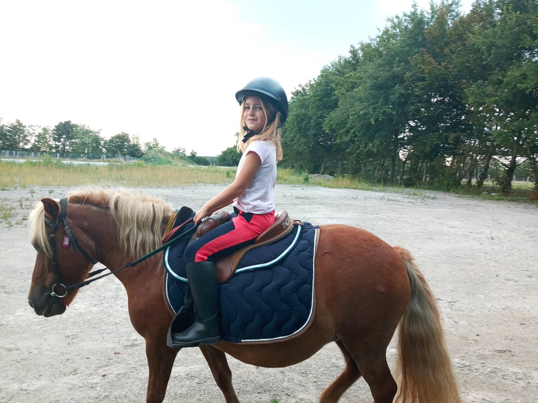 Emmy participe au concours pour gagner de l'argent avec cette photo : animal_sports, bridle, equestrian_sport, equestrianism, equitation, halter, headwear, horse, horse_supplies, horse_tack, joy, mammal, mane, mare, outdoor_recreation, person, ranch, recreation, rein, riding_instructor