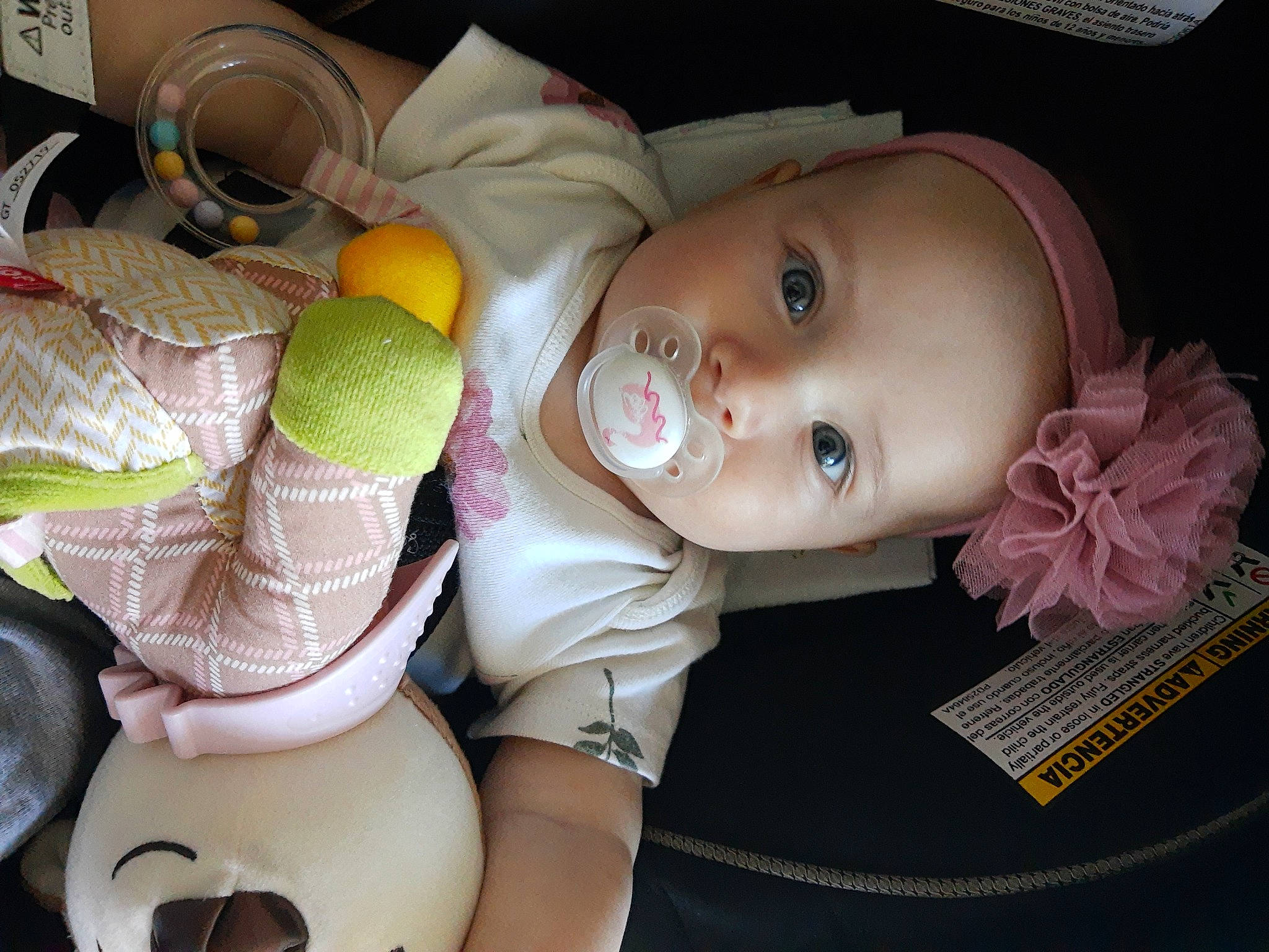 Amber is registered to the contest to win money with this photo: arm, cheek, chin, doll, eye, eyebrow, eyelash, facial_expression, gesture, hairstyle, head, iris, lip, mouth, nose, organ, person, pink, skin, textile