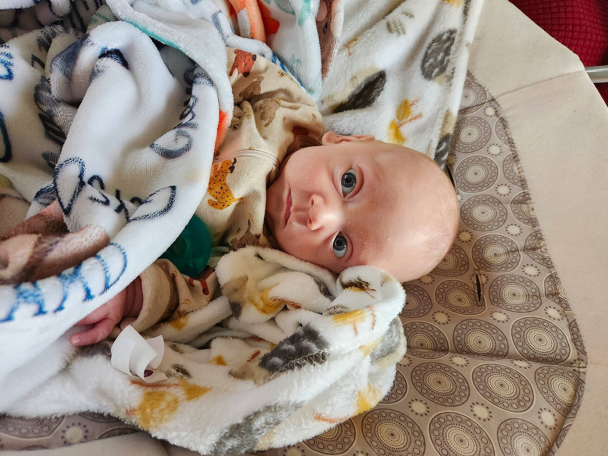 Greyson joined the competition — help win amazing prizes! baby, baby_products, baby_toddler_clothing, bedding, cheek, child, comfort, eye, face, fur, happy, head, iris, linens, pattern, person, stuffed_toy, textile, toddler, toy