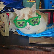 Snowball joined the competition — help win amazing prizes! cat, sunglasses, green_sunglasses, table, indoor, pet, relaxed, white_cat, orange_spots, clutter, bags, household_items, resting, cool, funny, portrait, feline, domestic_animal, accessory, casual