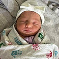 Noah N.