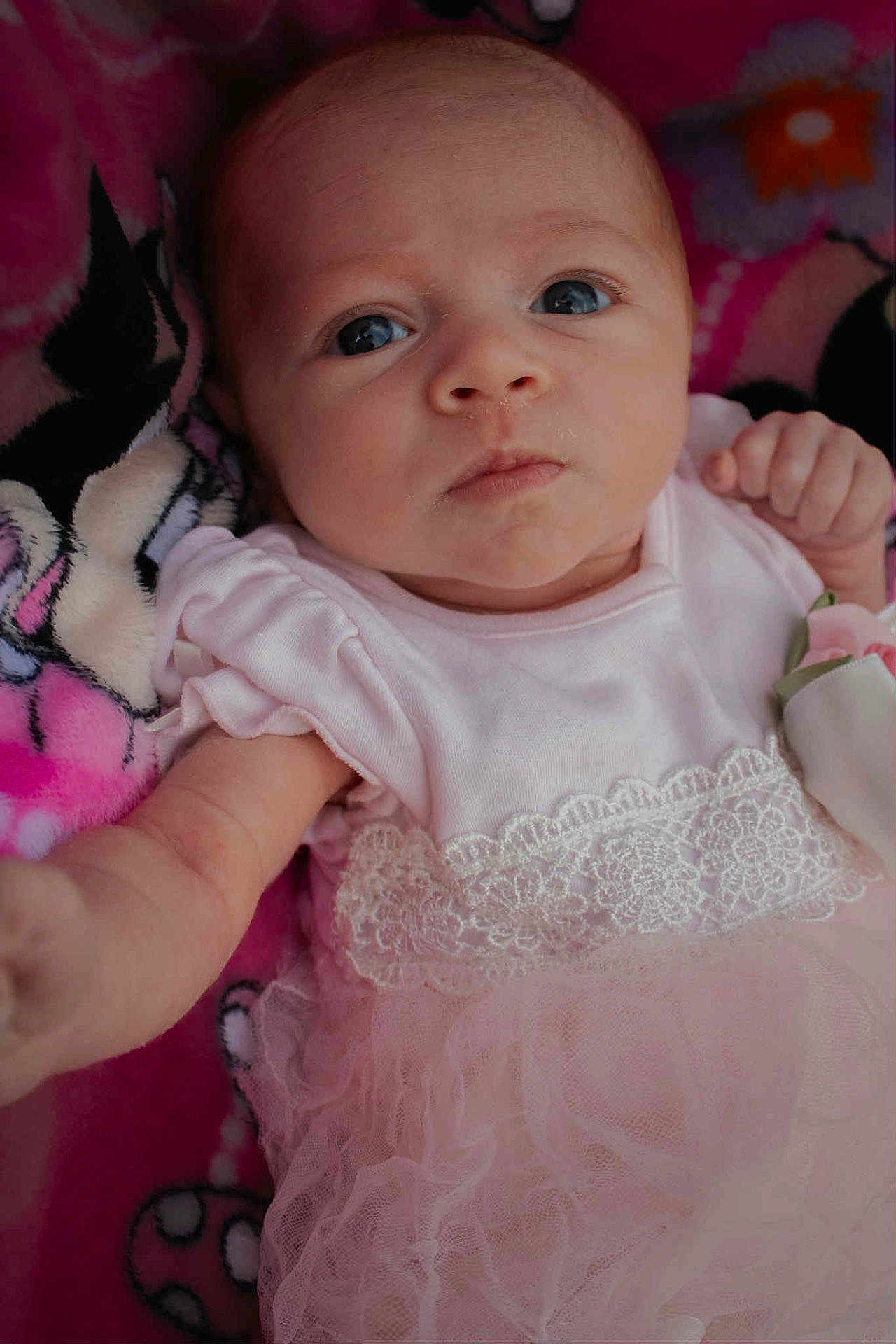Adelyn is registered to the contest to win money with this photo: baby, infant, pink_dress, lace, blanket, close_up, face, hand, cute, child, newborn, portrait, soft, fabric, pattern, lying_down, skin, expression, small_hand, indoor
