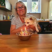 Hinata participe au concours pour gagner de l'argent avec cette photo : woman, dog, glasses, birthday, candles, kitchen, table, window, metal_bowl, celebration, indoor, smile, pet, light, number_candles, short_hair, striped_shirt, wooden_surface, happy, holding