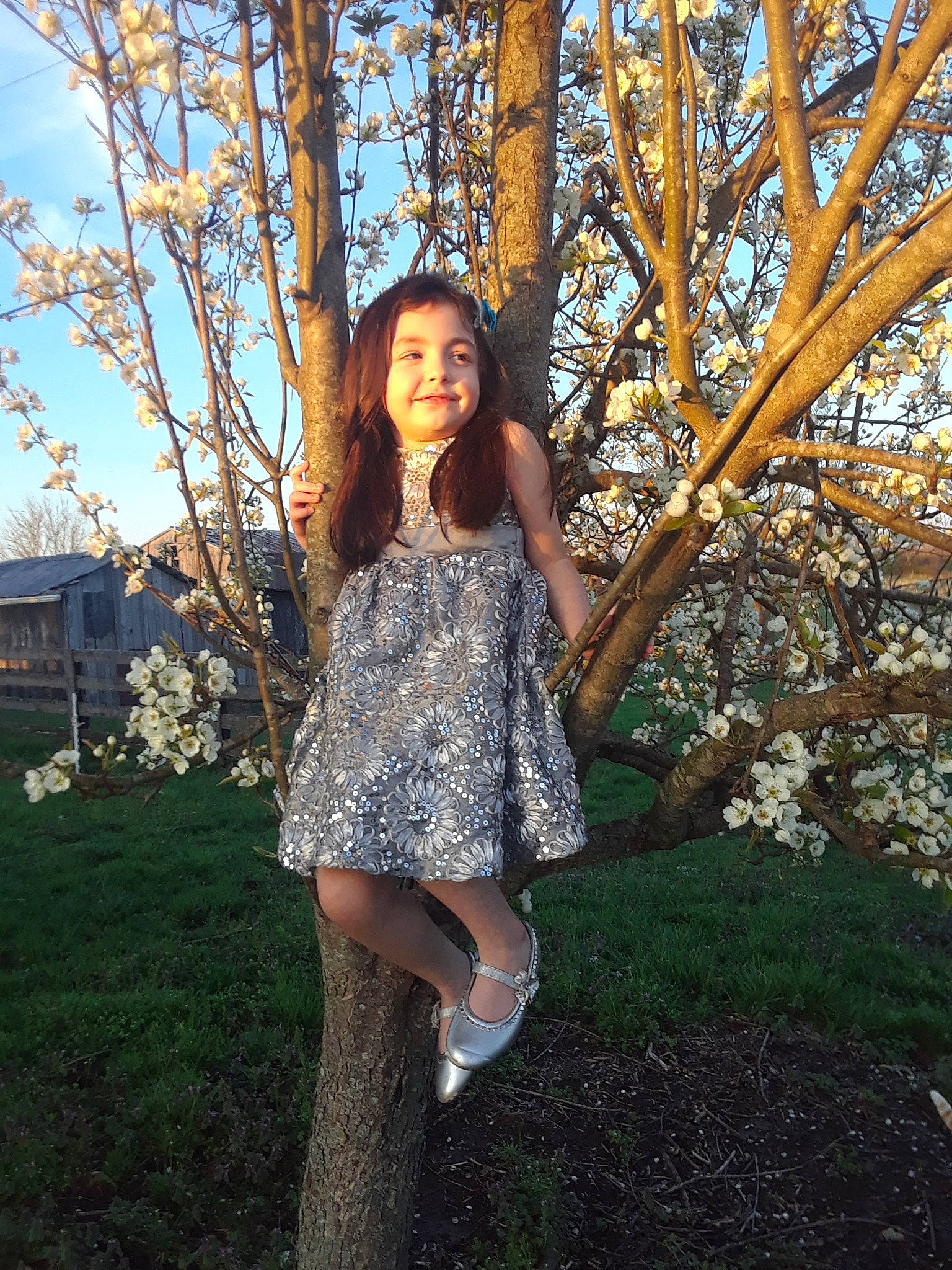 Kailey joined the competition — help win amazing prizes! beauty, branch, clothing, dress, fashion, fawn, grass, happy, joy, long_hair, people_in_nature, person, photo_shoot, photography, plant, smile, snapshot, spring, street_fashion, tree