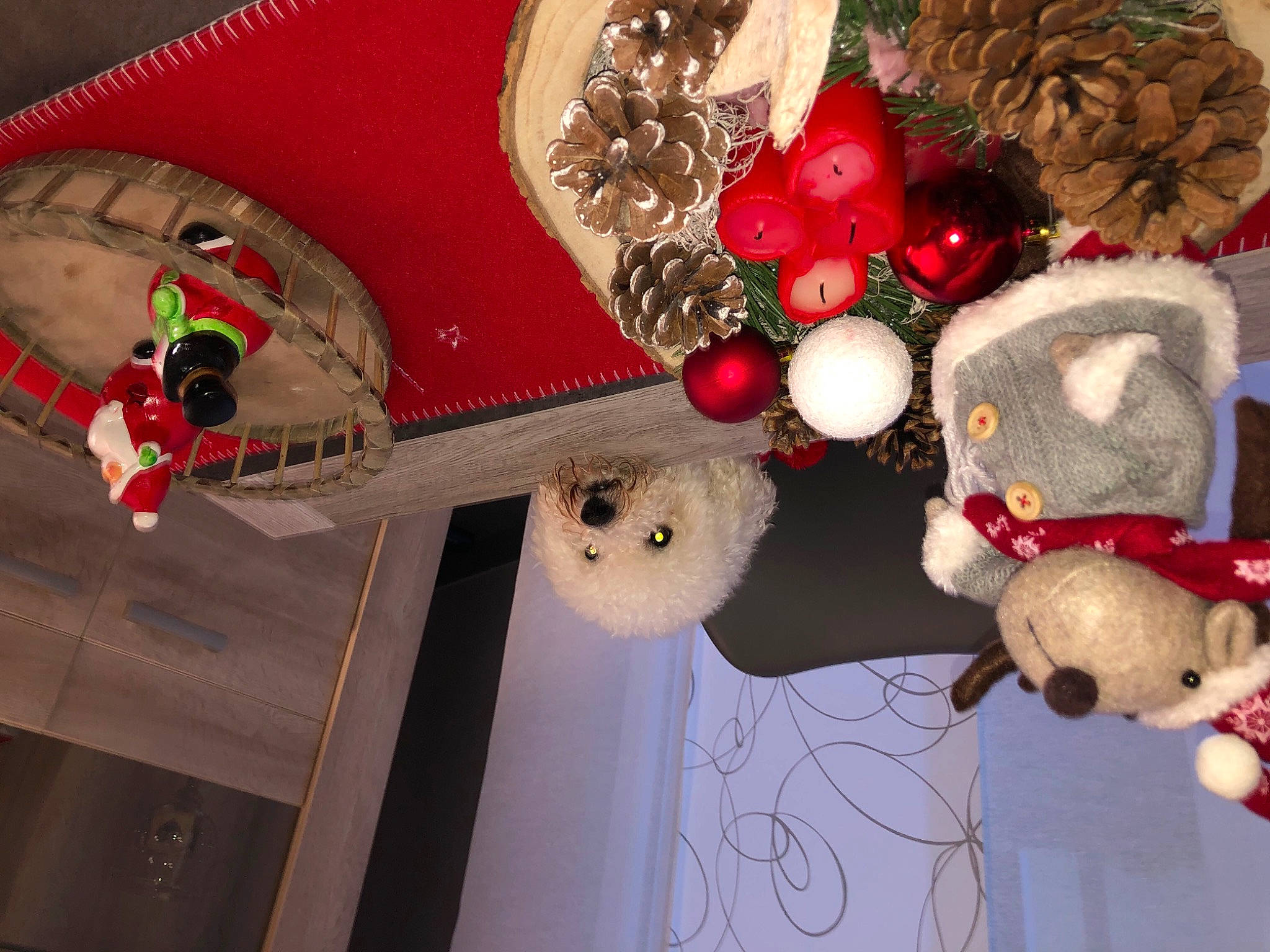 Iako participe au concours pour gagner de l'argent avec cette photo : baby_toys, christmas, ornament, plush, stuffed_toy, teddy_bear, toy