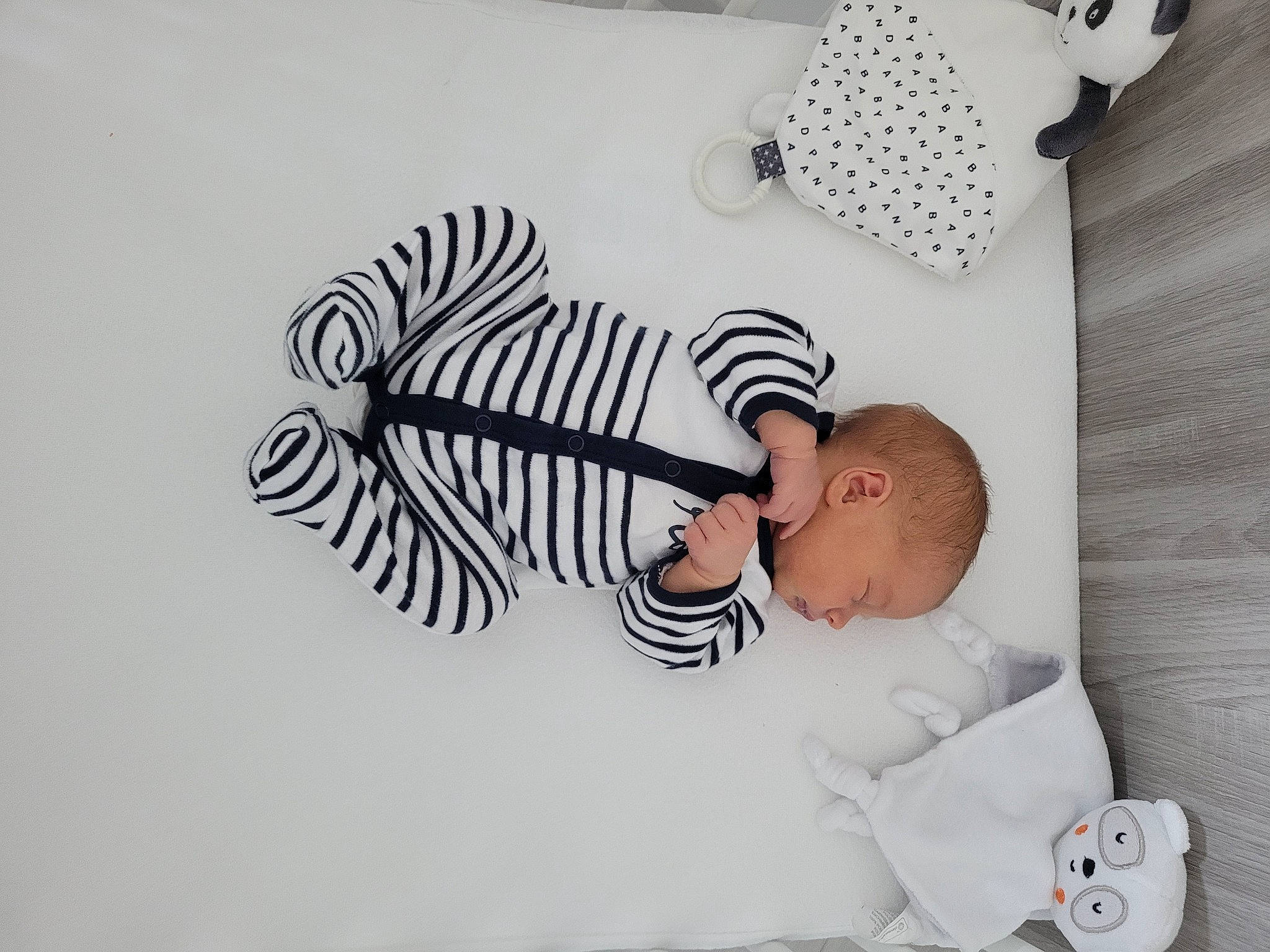 Livio participe au concours pour gagner de l'argent avec cette photo : arm, art, baby, baby_products, baby_toddler_clothing, comfort, design, eyelash, font, infant_bed, linens, monochrome_photography, paper, pattern, person, product, room, toddler, toy, visual_arts