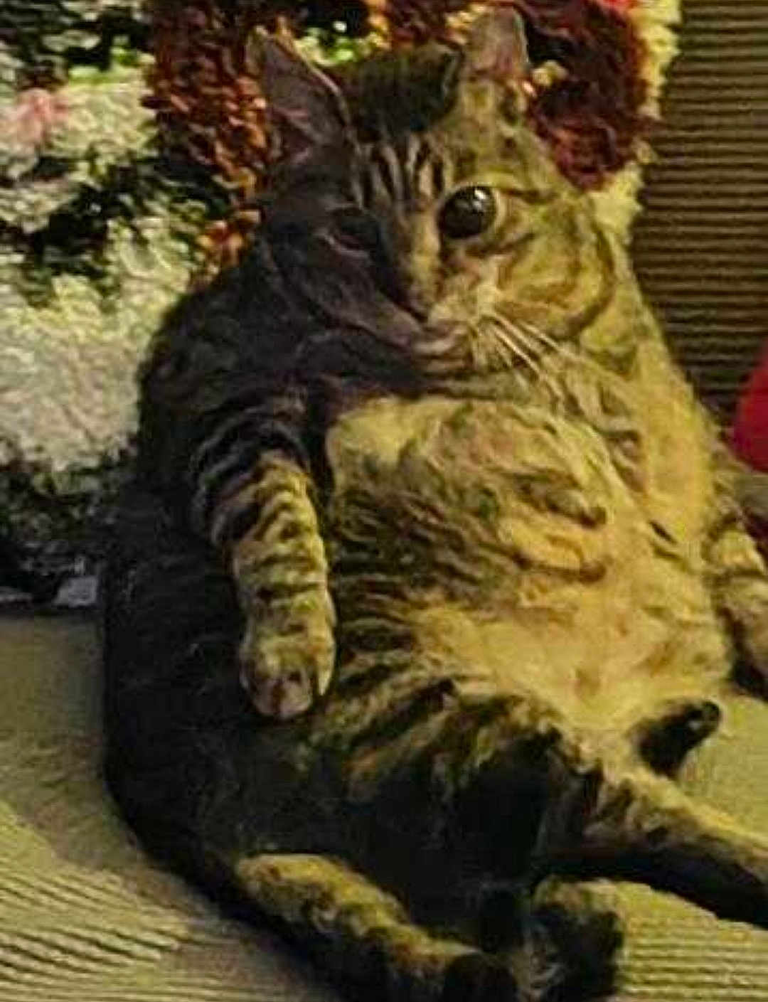 Rascal