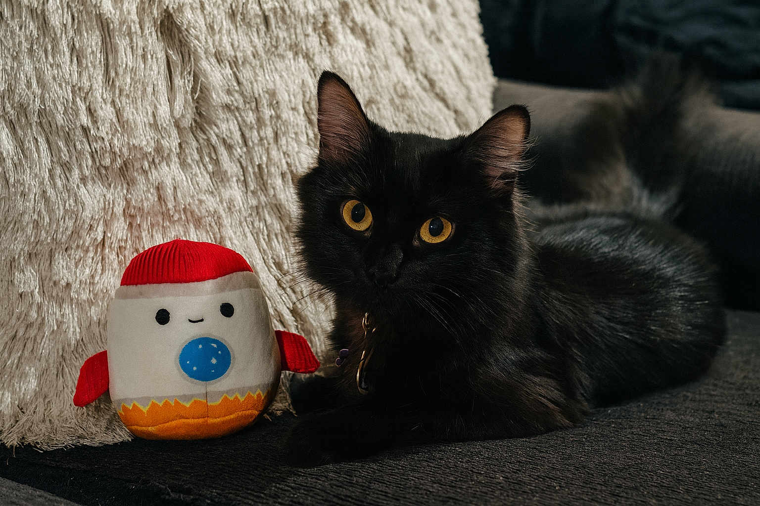 Ivy is registered to the contest to win money with this photo: cat, black_cat, plush_toy, couch, pillow, indoor, pet, feline, fur, yellow_eyes, toy, soft_toy, cute, relaxed, animal, domestic_animal, cozy, texture, closeup, portrait