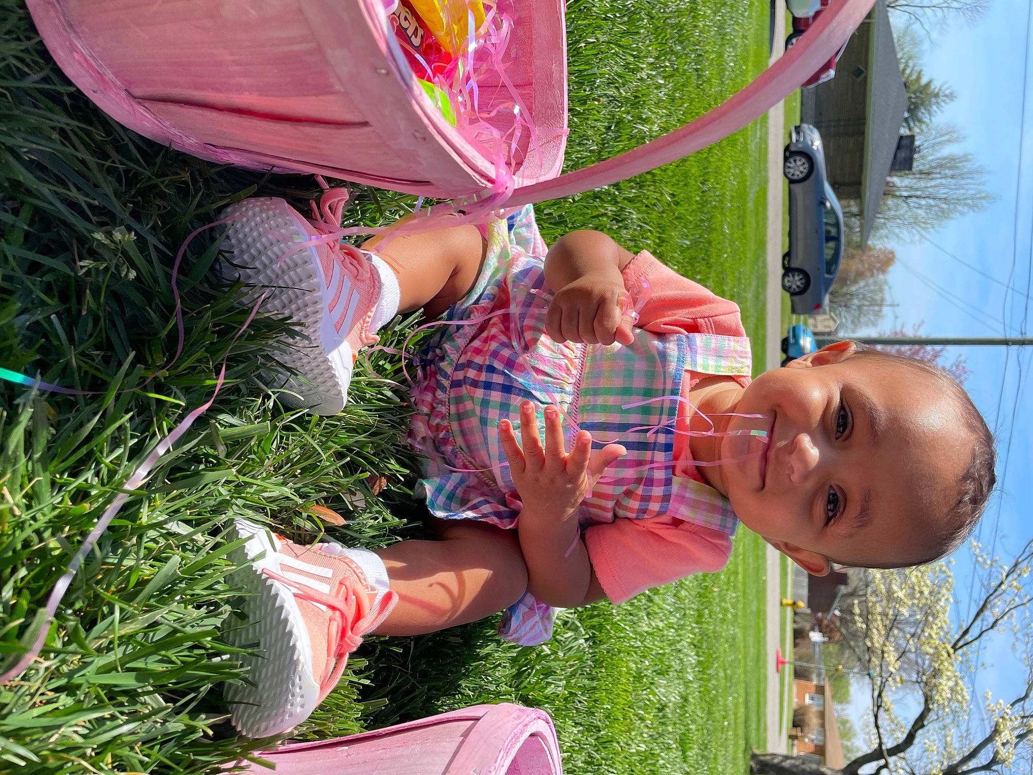 Jream is registered to the contest to win money with this photo: child, fun, grass, green, happy, human_leg, joy, leaf, leisure, people_in_nature, person, pink, plant, recreation, sky, smile, summer, thigh, toddler, tree