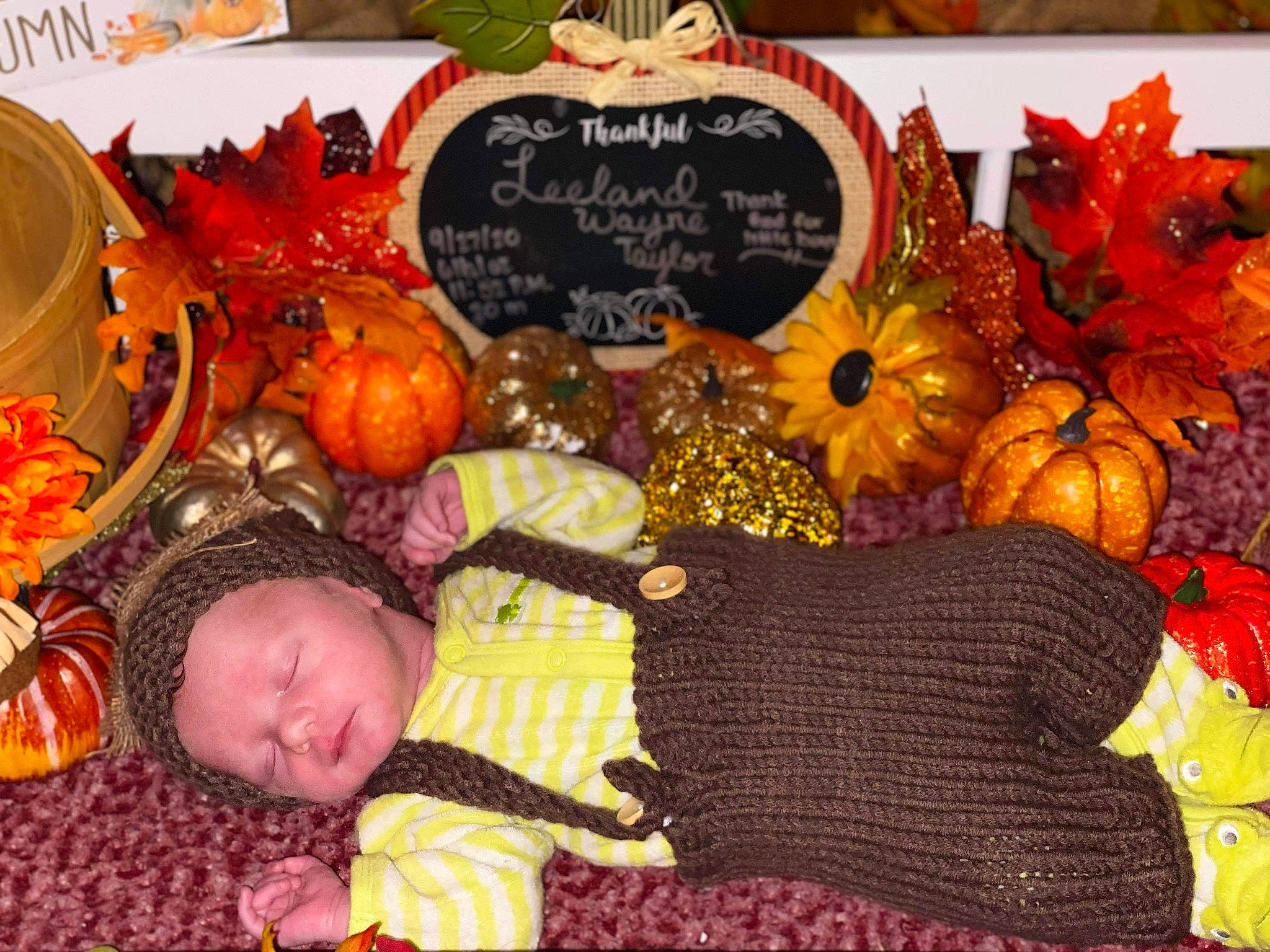 Leeland is registered to the contest to win money with this photo: art, autumn, calabaza, leaf, orange, person, pumpkin, textile, winter_squash