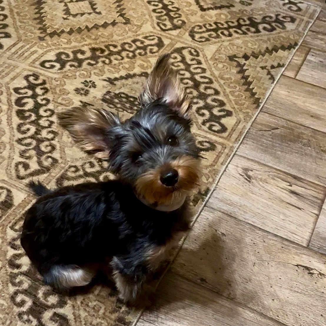 Duncan