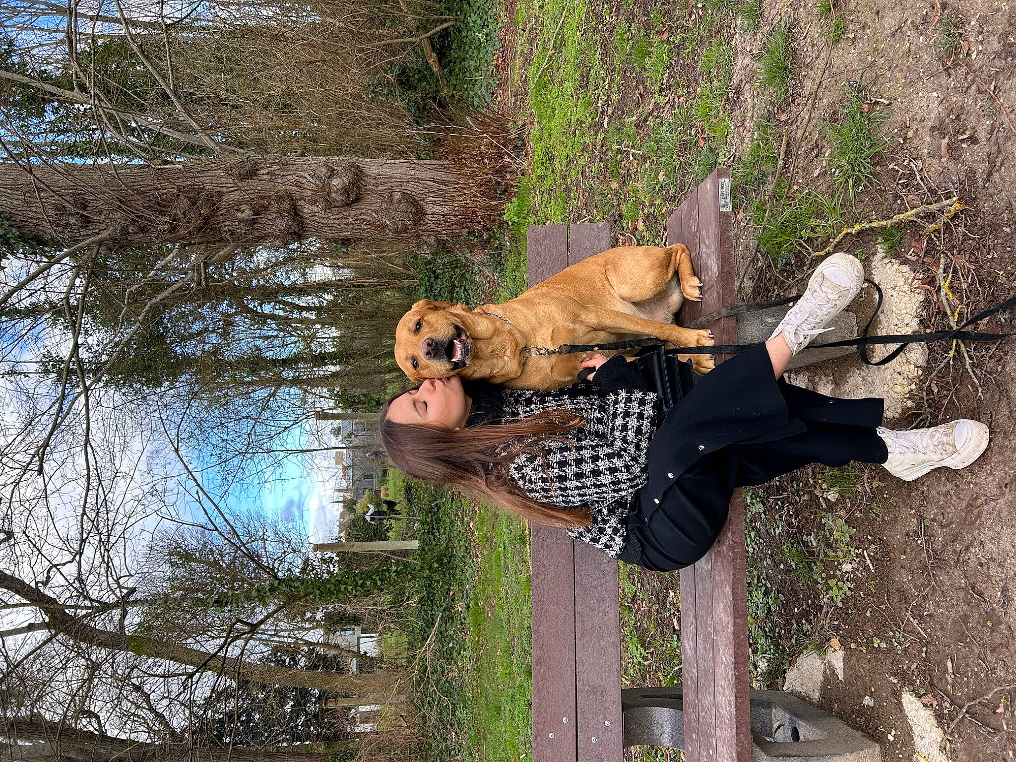 Rio a rejoint le concours — aidez-le/la à gagner de superbes lots ! adventure, boot, carnivore, companion_dog, dog, dog_breed, fawn, fun, fur, grass, guard_dog, hat, leisure, people_in_nature, plant, recreation, tree, trunk, water, working_animal