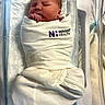 newborn, baby, infant, sleeping, swaddled, hospital, bassinet, blanket,  의료, portrait, face, hands, closed_eyes, peaceful, indoors, medical_setting, newborn_care, white_blanket, hospital_bassinet, photograph
