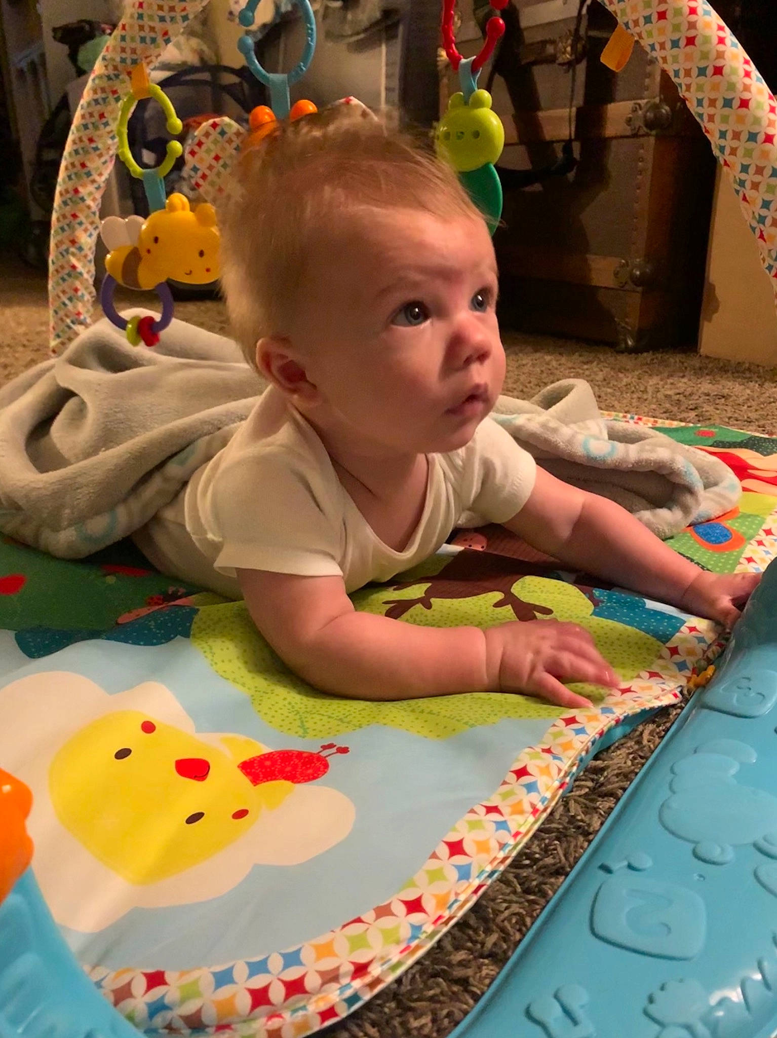 Bash joined the competition — help win amazing prizes! baby, baby_products, baby_toys, child, person, play, playmat, product, textile, toddler, toy, tummy_time