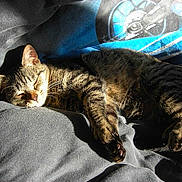 Happy a rejoint le concours — aidez-le/la à gagner de superbes lots !