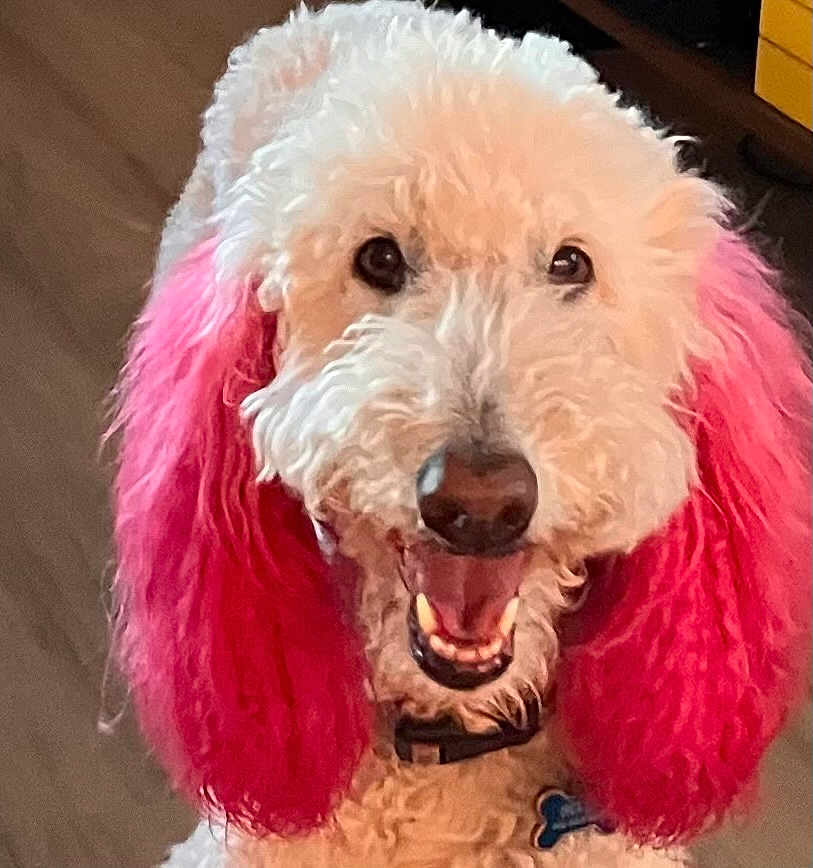 Bella