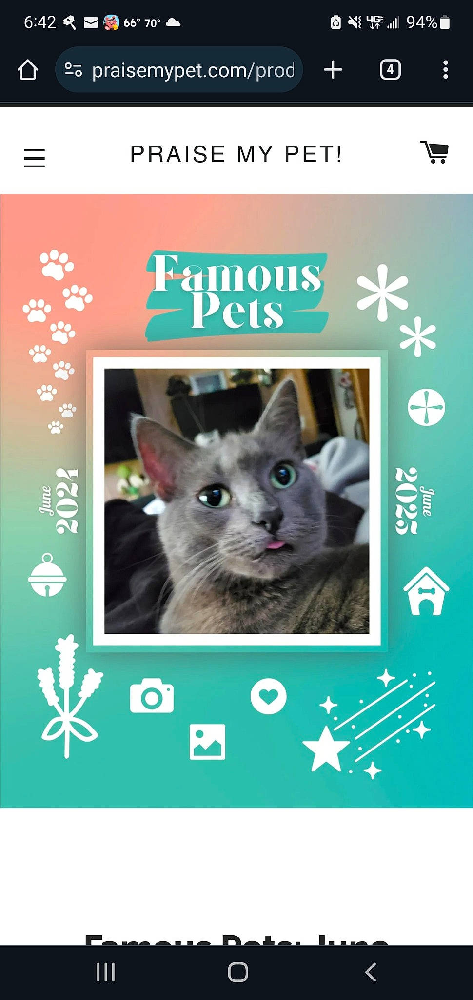 Violet joined the competition — help win amazing prizes! advertising, carnivore, cat, cat_supply, domestic_short_haired_cat, felidae, font, fur, internet_meme, organism, pet_supply, photo_caption, poster, publication, russian_blue, small_to_medium_sized_cats, snout, terrestrial_animal, whiskers, wildlife