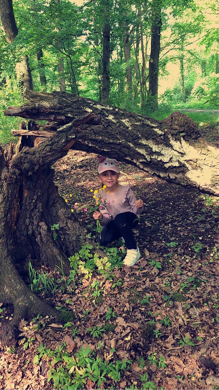 Juliette a rejoint le concours — aidez-le/la à gagner de superbes lots ! branch, deciduous, forest, grass, grove, headwear, joy, jungle, landscape, natural_landscape, people_in_nature, person, plant, plant_community, sunlight, temperate_broadleaf_and_mixed_forest, terrestrial_plant, tints_and_shades, tree, trunk