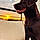 Ainhoa