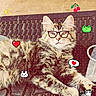 cat, tabby, glasses, pixel_art, stickers, speech_bubble, outdoor, mat, relaxed, cute, animal, pet, feline, digital_effects, heart, cherry, frog, retro, video_game_style, cozy
