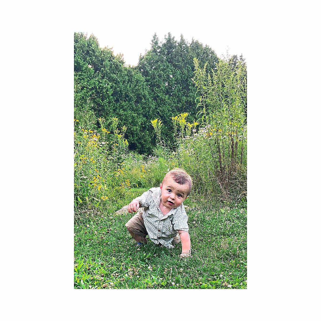 Beau joined the competition — help win amazing prizes! toddler, child, grass, wildflowers, outdoor, nature, greenery, crawling, curious, young_child, summer, plants, trees, baby, casual_clothing, daylight, adventure, portrait, field, happy