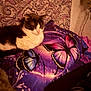 cat, pet, blanket, butterfly, purple, paisley, patterned_wall, bedding, pillow, fur, white_fur, gray_fur, sleepy, relaxed, indoor, bed, closeup, low_light, portrait, decor